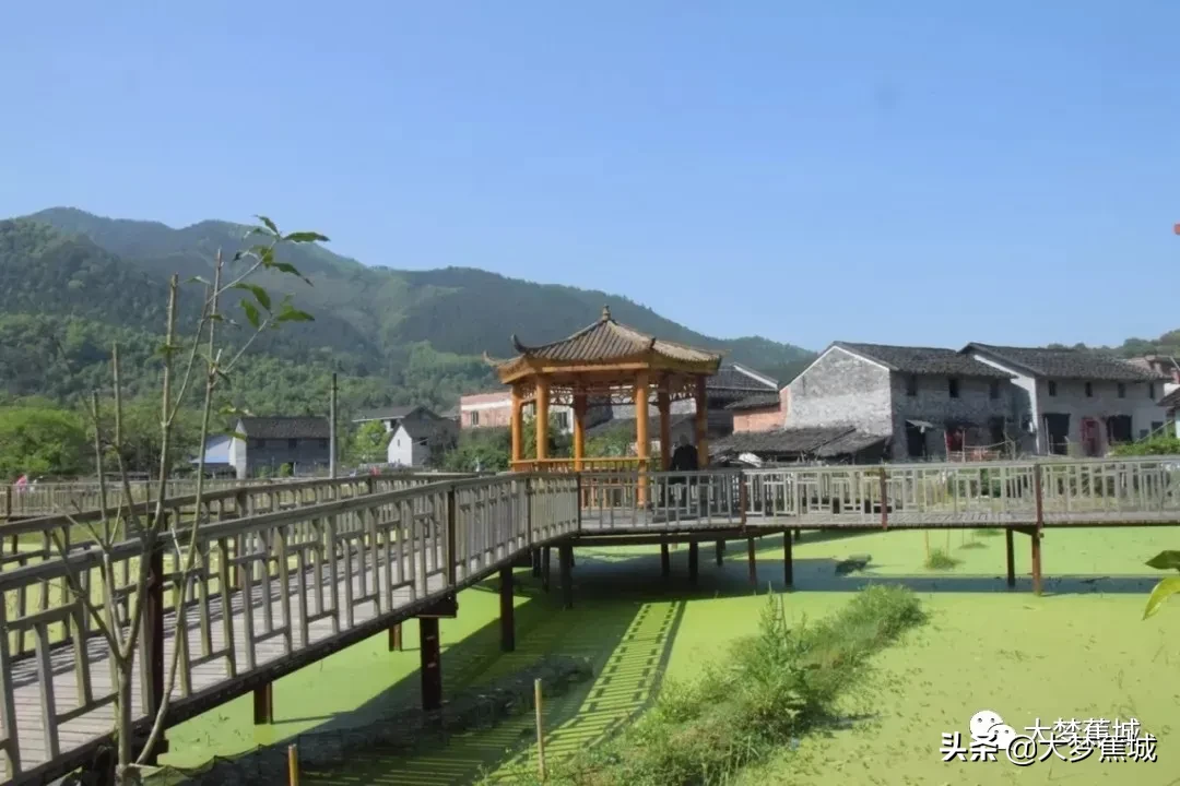 蕉城農(nóng)村養(yǎng)老“新模式”！養(yǎng)老“離土不離鄉(xiāng)、離家不離村”~