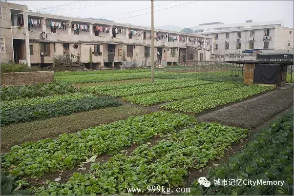 越堕落,越快乐——长沙堕落街纪实