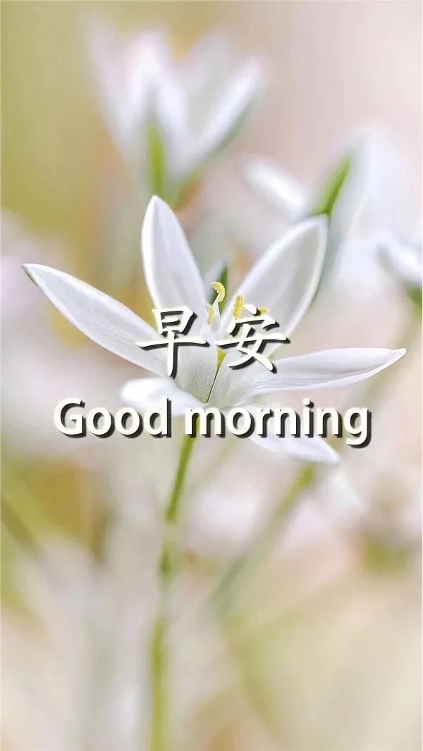 最新早安心语简短一句话