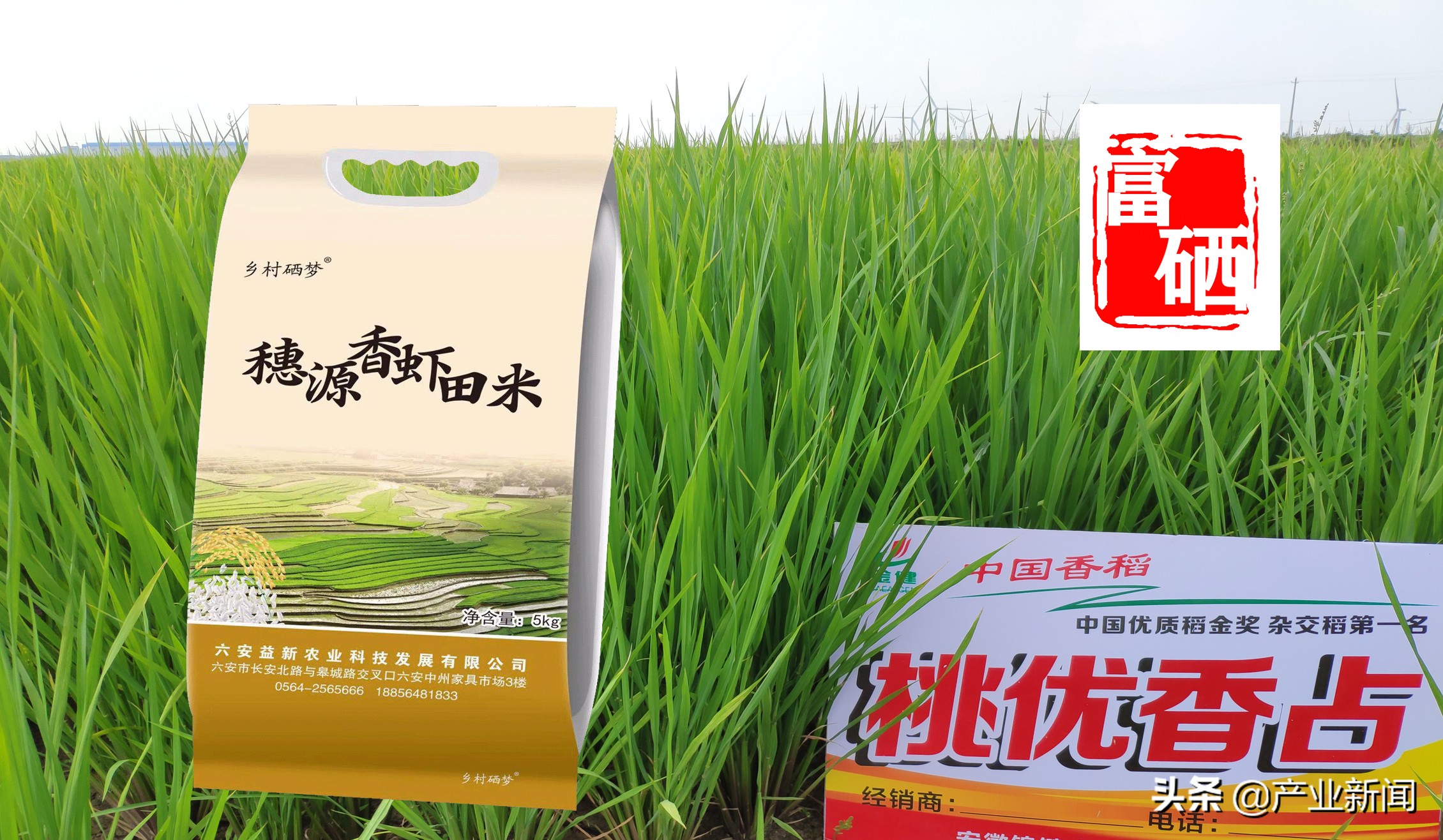 （安徽省）富硒稻米发展可行性报告——种植特