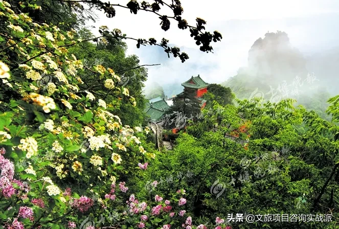 中医药康养，农文旅市场的蓝海