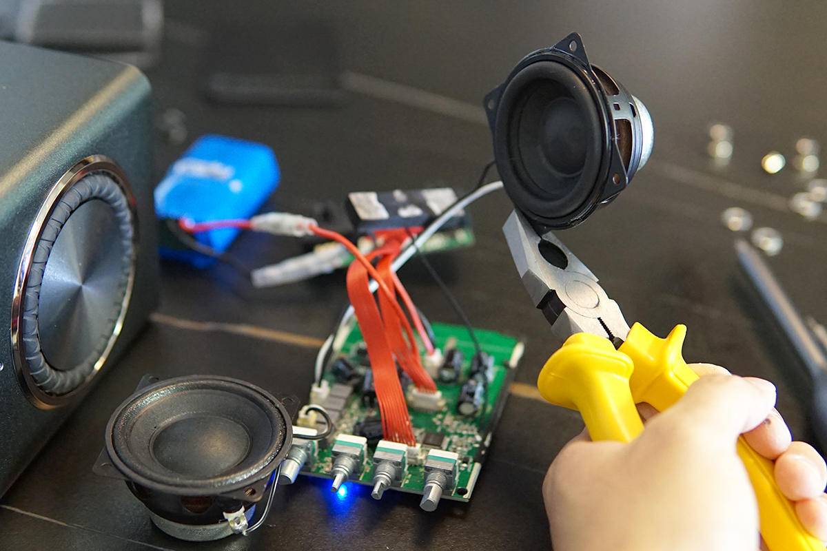 听说这款K歌音箱用的是Bose喇叭，咱们拆来看看