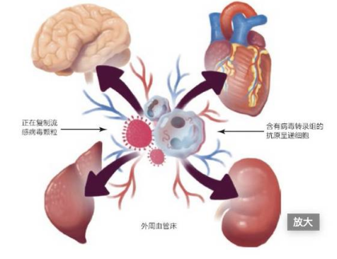 肝癌并不可怕，可怕的是肝癌引发的并发症