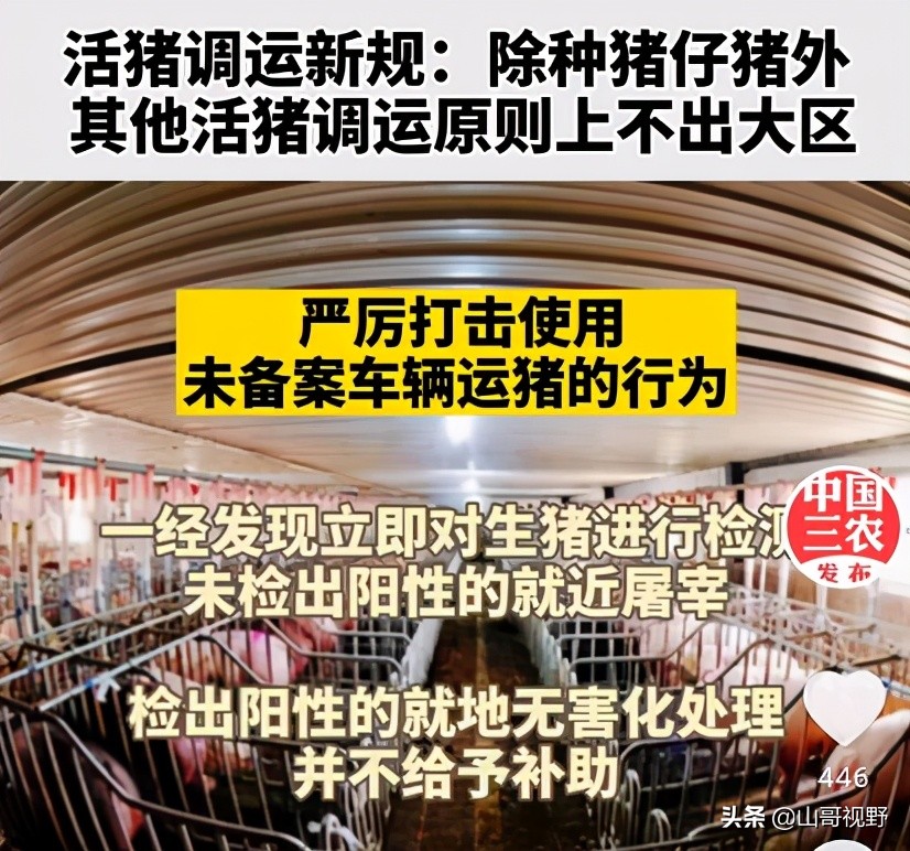 4月1日起，我国活猪不能异地调运了？不是的，是