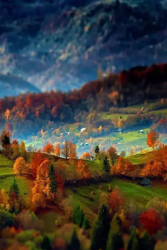 古诗词里的山中秋色，气象万千，摄人心魄的美丽-第19张图片-诗句网