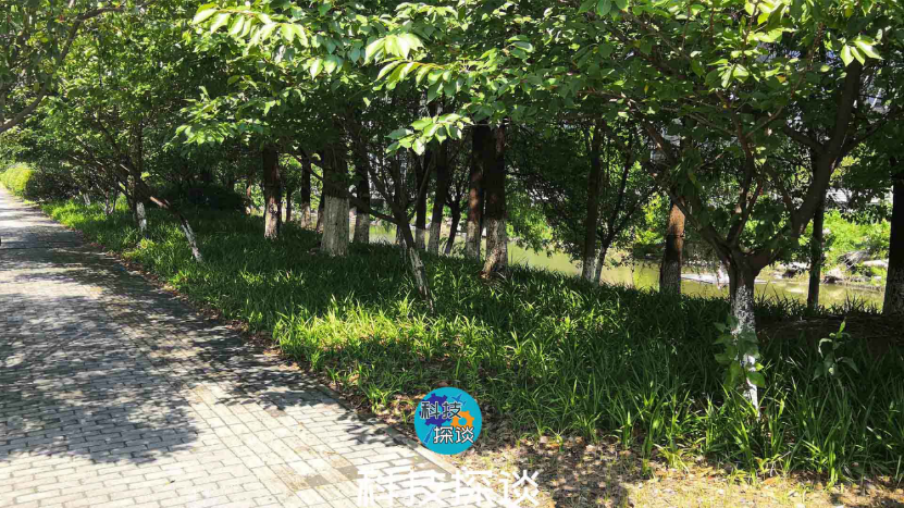 不再为拍摄Vlog发愁，好用不贵的浩瀚小Q云台测评