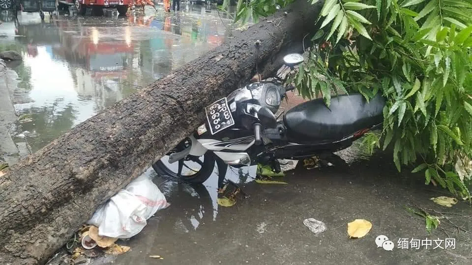 缅甸遭遇强风暴雨冰雹袭击，多个城市一片狼藉
