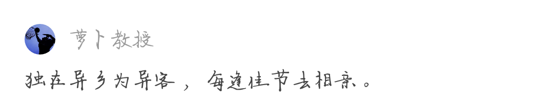 Spend the New Year come home to be urged marriage a kind of what kind of feeling be? Netizen: Be arranged obviously for nothing. . 