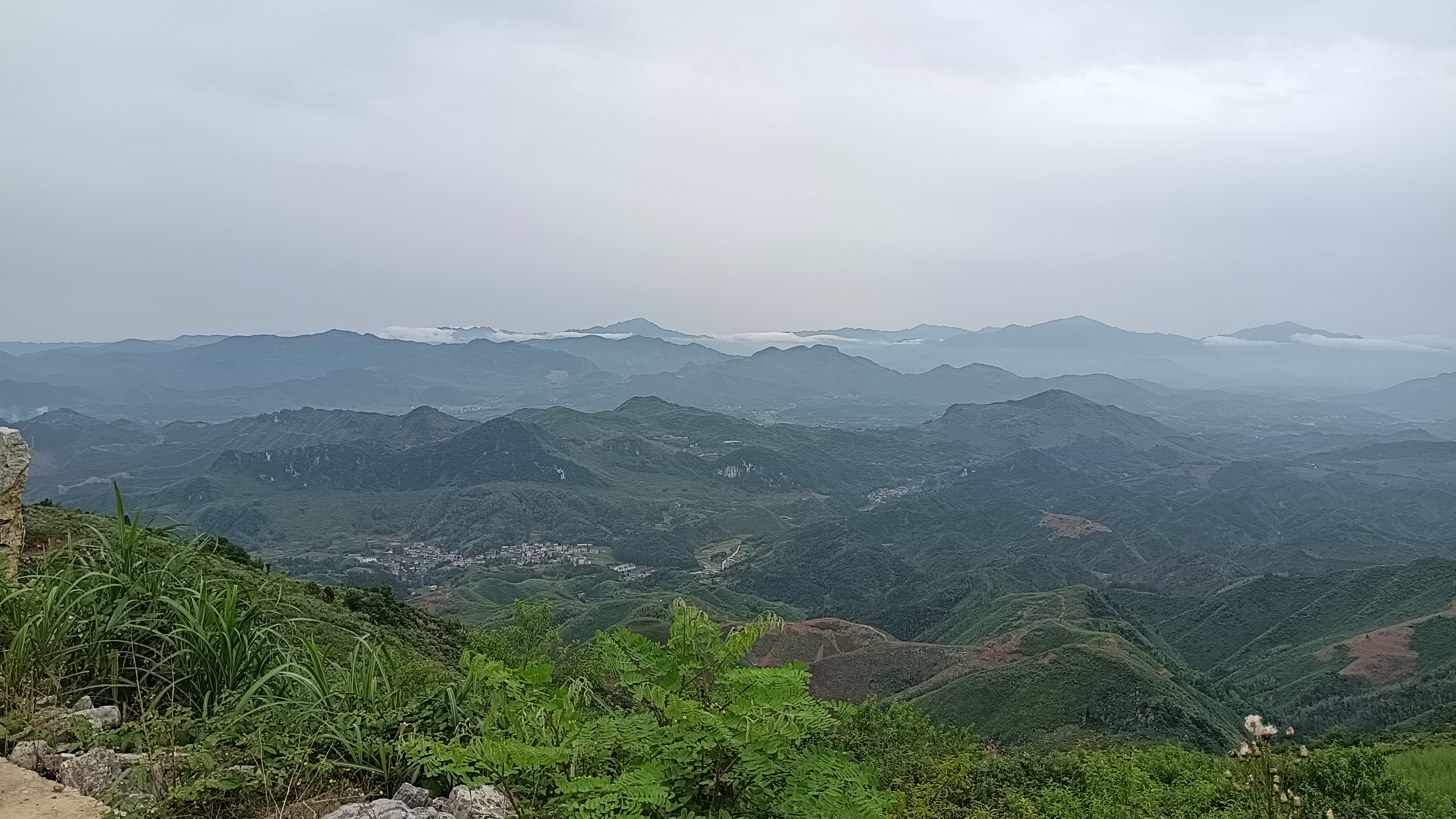 黃桃干、黃桃酒、黃桃罐頭 陽新縣界首村農(nóng)特產(chǎn)業(yè)“結(jié)碩果”