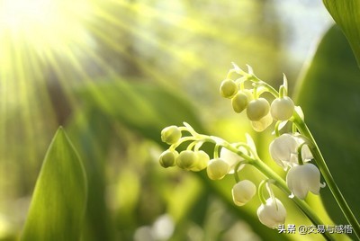 5月寄语：行情会是什么样子
