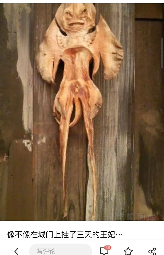 “现在的小说为了推广有多拼？”哈哈哈哈是我没想到的...