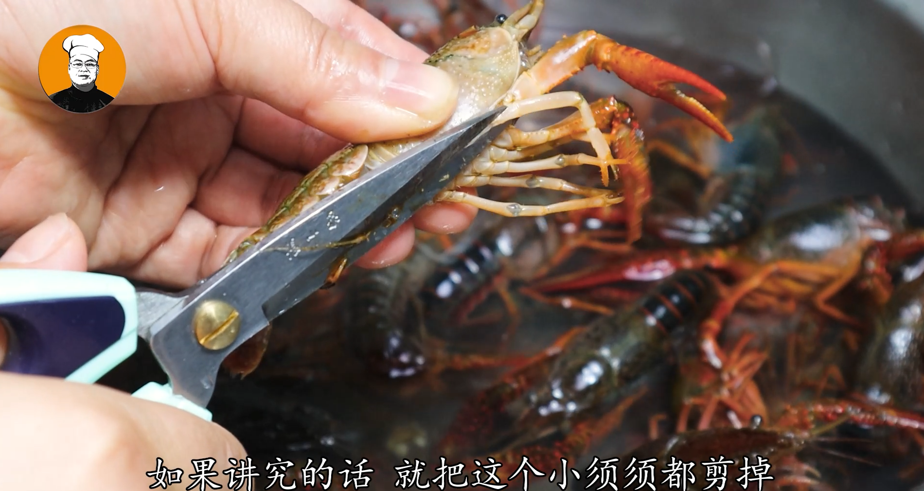 小草地別只用清水洗，等於吃垃圾，教你妙招，臟東西全跑光