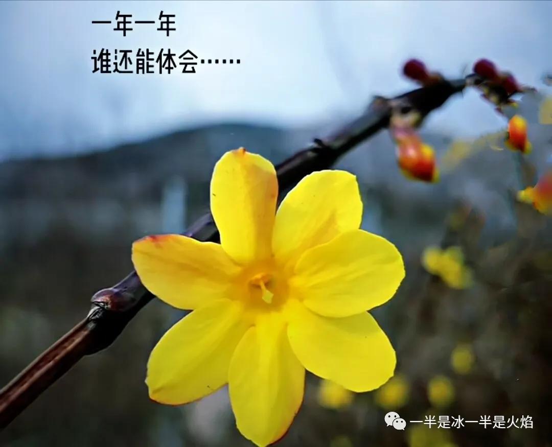 散文诗：跟着春天走-第2张图片-非凡网