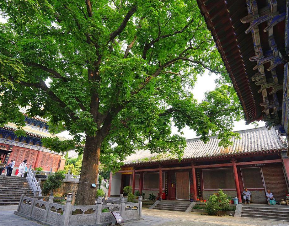 河南一座被遗忘的寺院，被誉为“女少林寺”，是我国首座女寺院