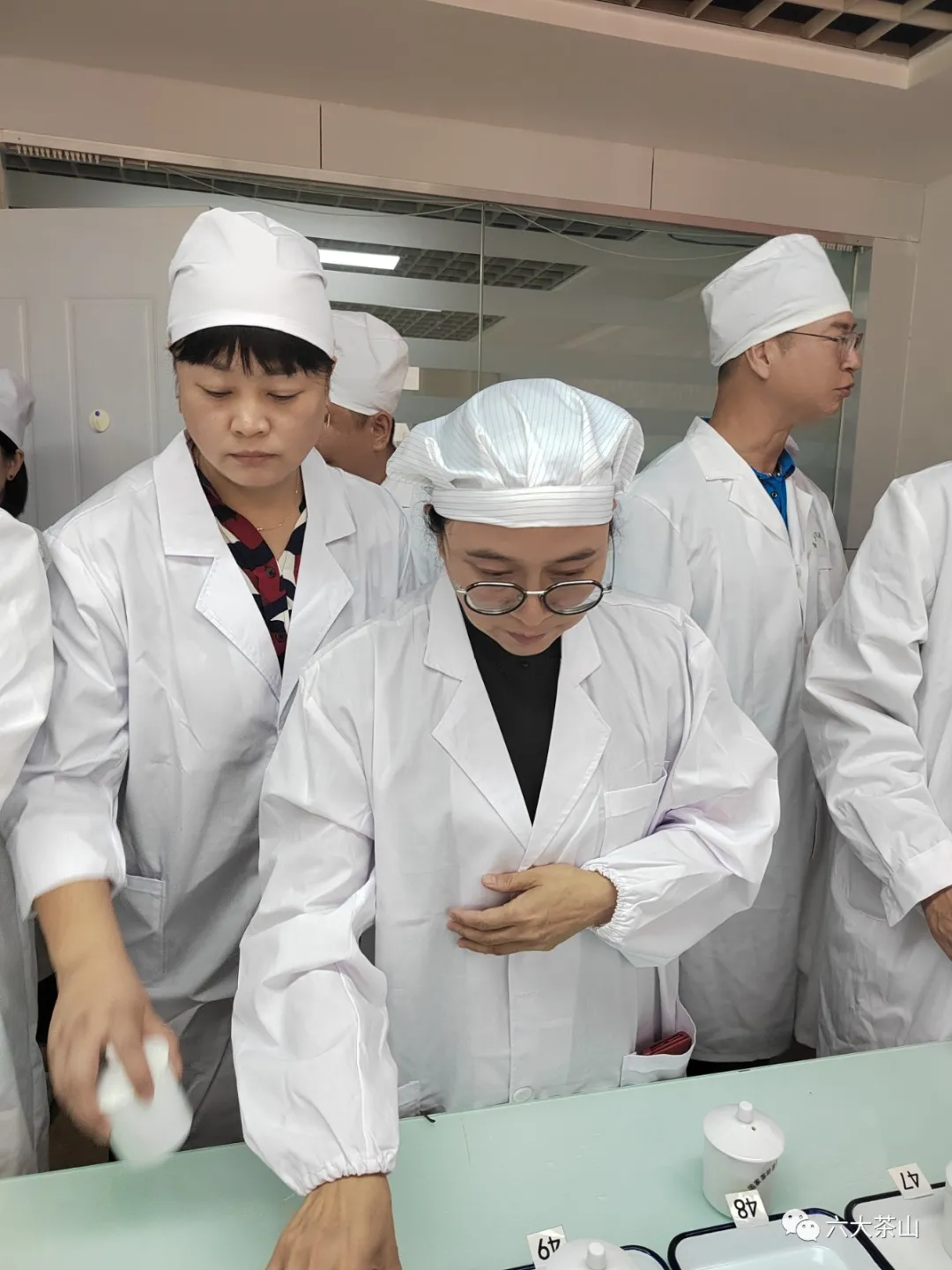 六山积极配合云南省白茶团体标准制定工作,助力云南白茶产业发展