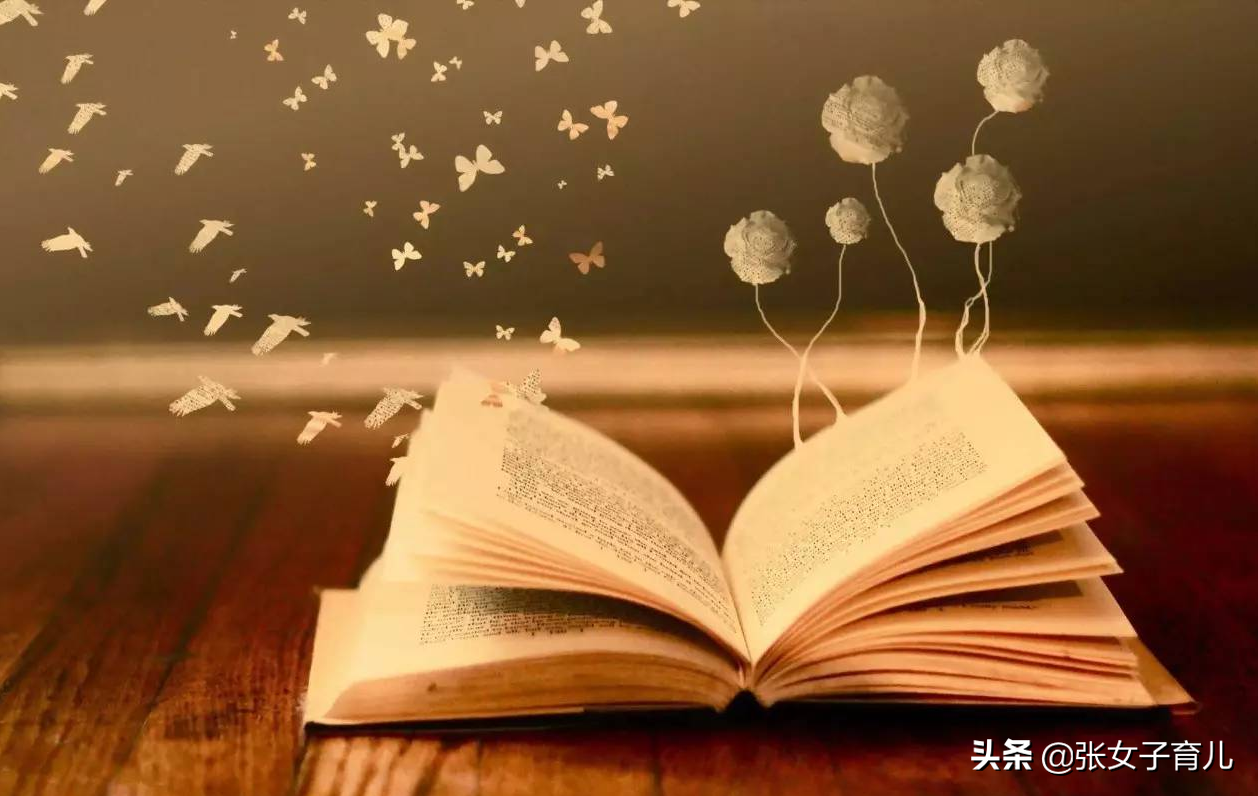 我们为什么要努力读书呢？读书只苦十几年，不读书可能苦一辈子
