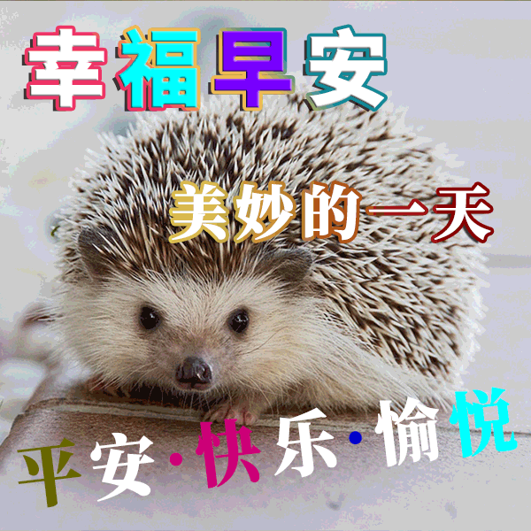 朋友们早上好祝福语图片合集 早上好新版漂亮的表情包图片