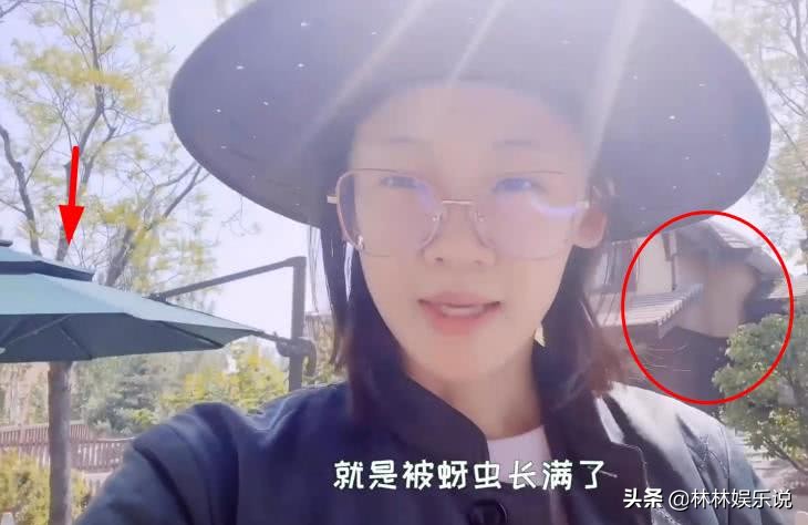 苗苗晒日常，家中豪宅惹人羡慕，看清怀孕后的