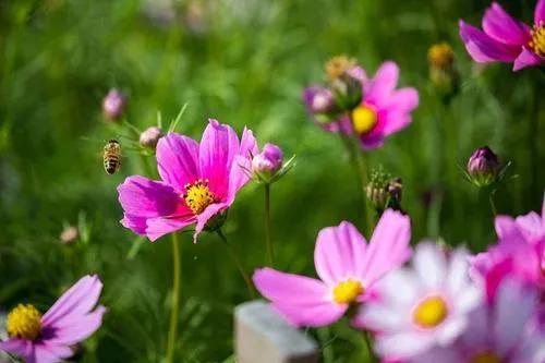 前瞻性思维，优秀文章的先行者