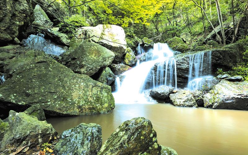 随州大洪山：鄂中绿宝石禅境养生地
