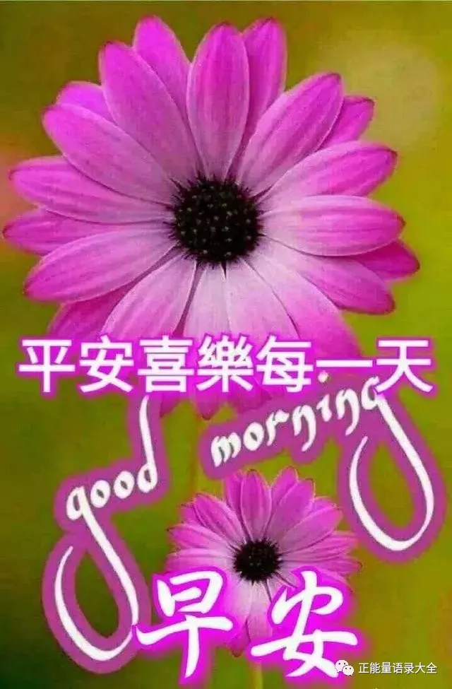 2021漂亮早安图片 早安最美好的祝福图片带字图片