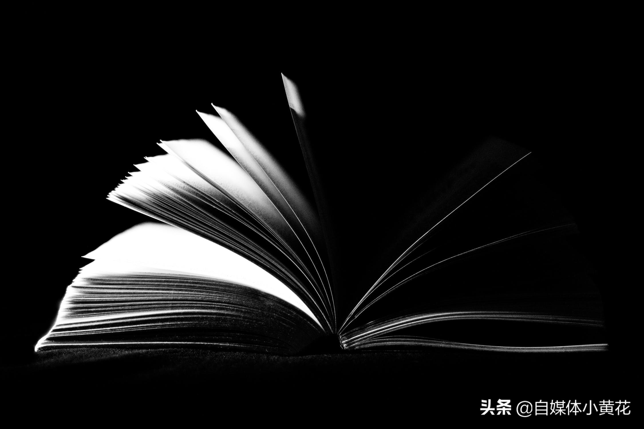 自媒体原创检测工具有哪些？易撰一键检测文章原创值