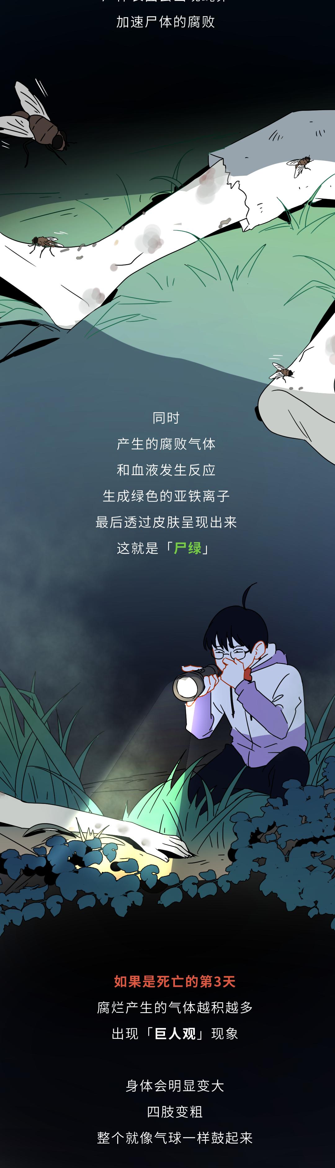 死後100天屍體會發生什麼變化? - 資訊咖