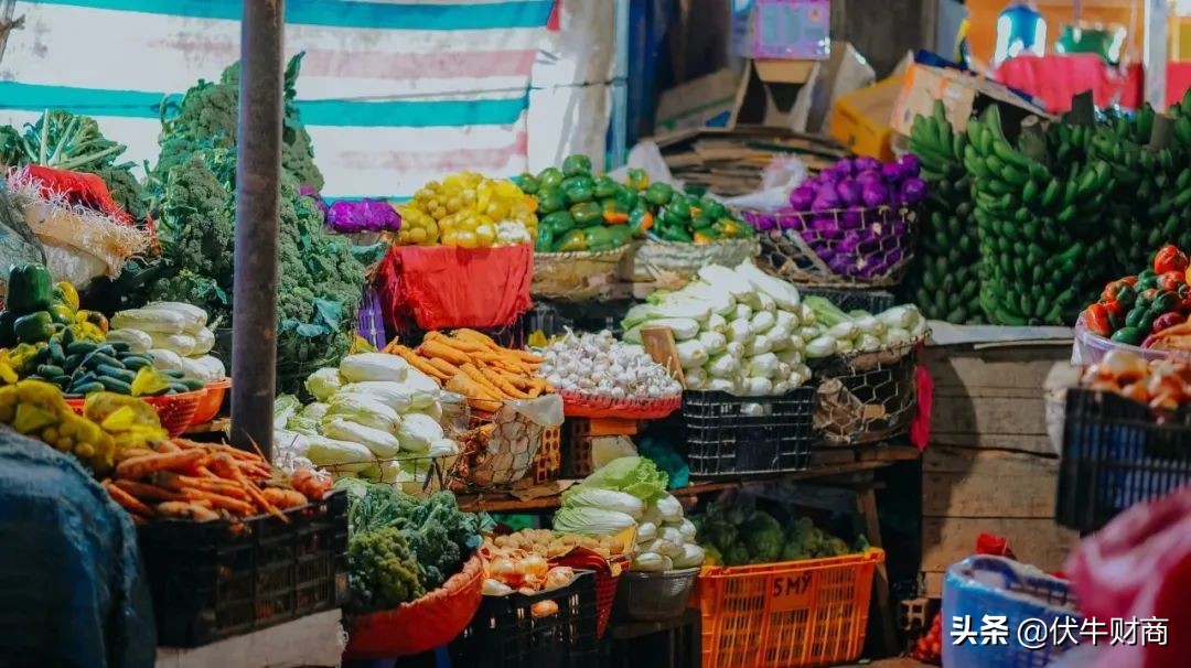 伏牛财商｜为什么我不建议你自己研究保险产品