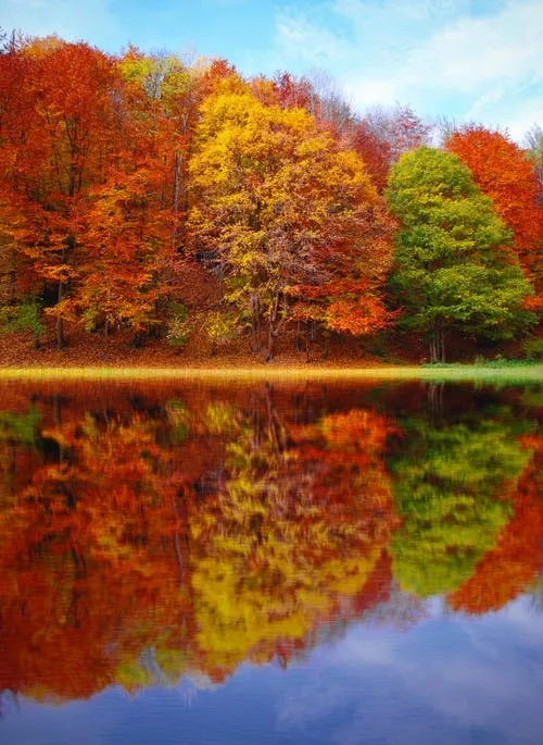 秋天，一个特别适合摄影的季节