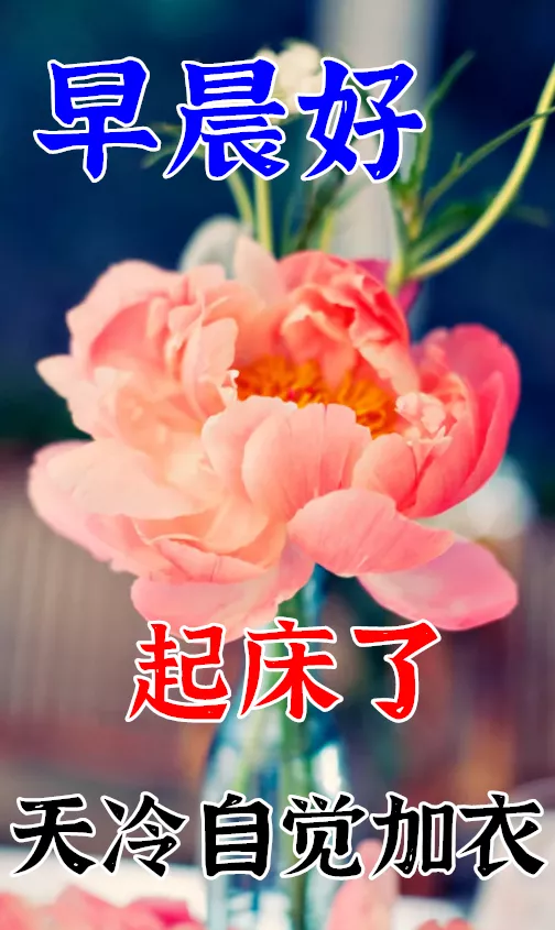 清晨问候早安的简短语句,新的一天早安祝福语精美语句图片
