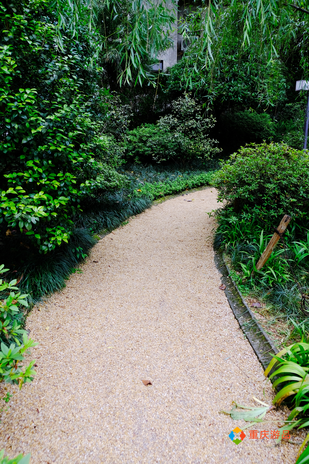 魅力渝中：建于清朝的私家园林，变成重庆人的城市公园，免费开放