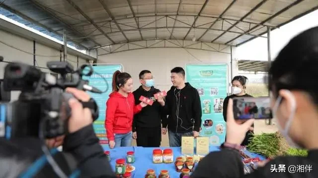 解局|县长直播带货，带出了什么？