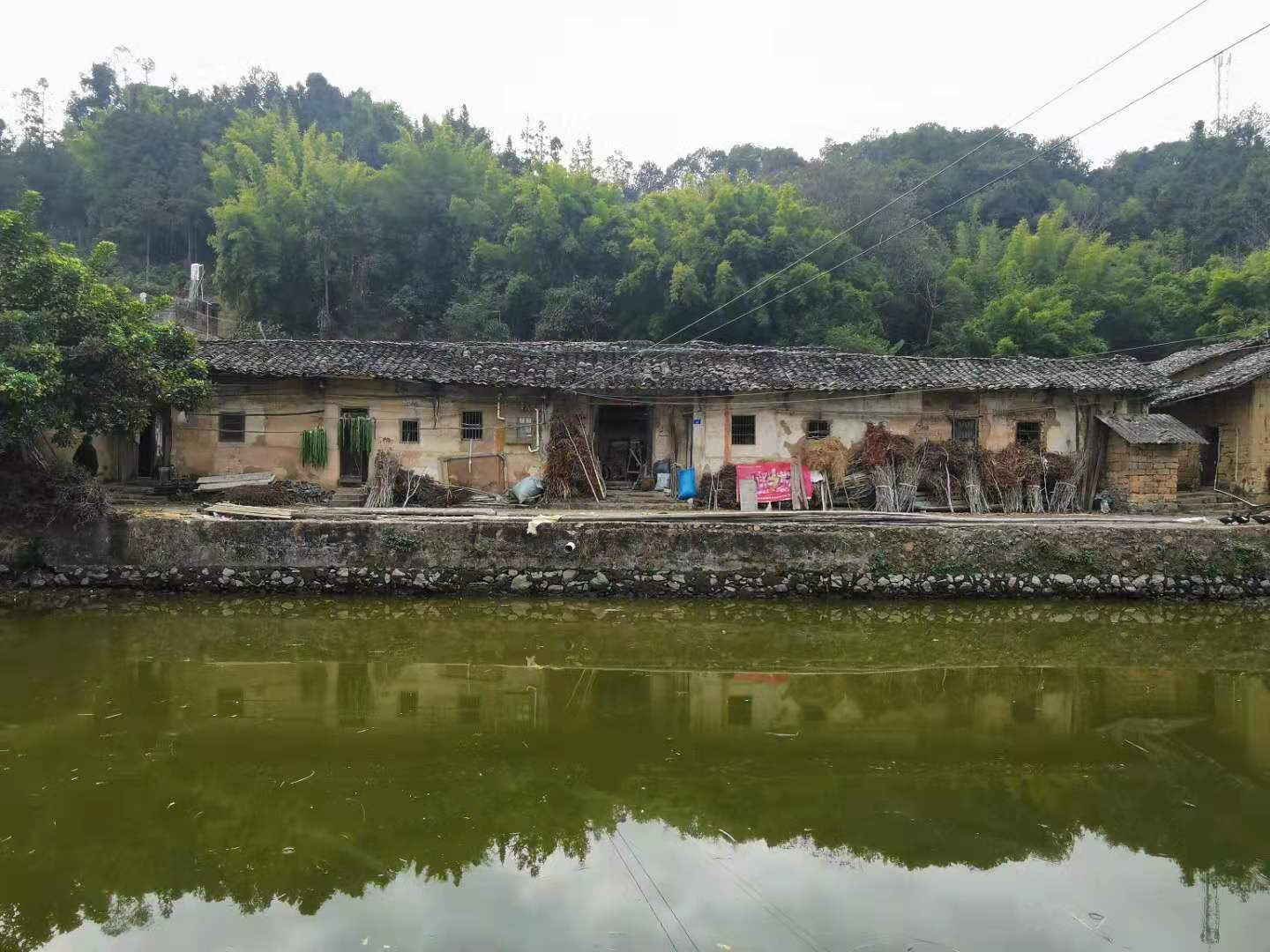 埋藏心底，回家过年的土理由