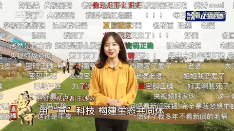 央视最美记者，王冰冰的美貌进化史