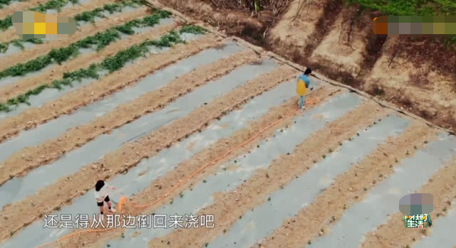 继谭松韵后，张子枫再遇知心大姐姐，两人互动