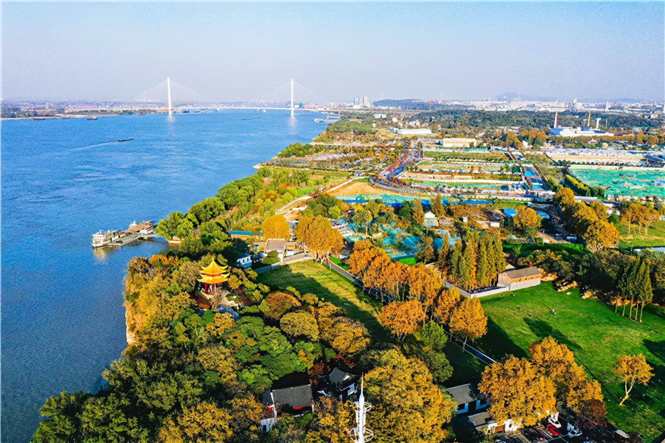 央视报道帮老人跨越数字鸿沟栖霞这家