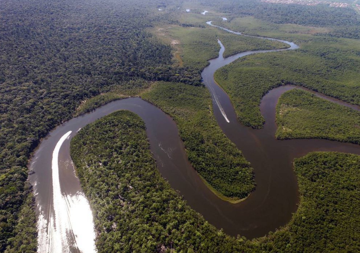 亚马逊河图片 恐怖图片