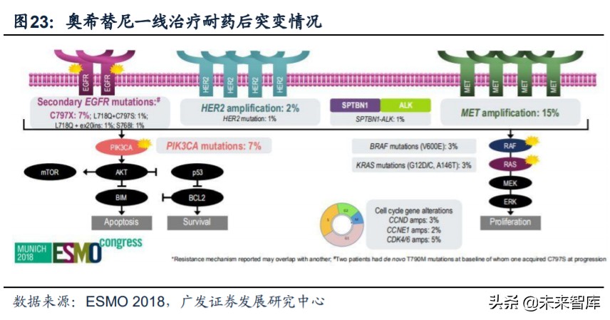 医药行业专题：第三代EGFR-TKI药物，第一大癌症造