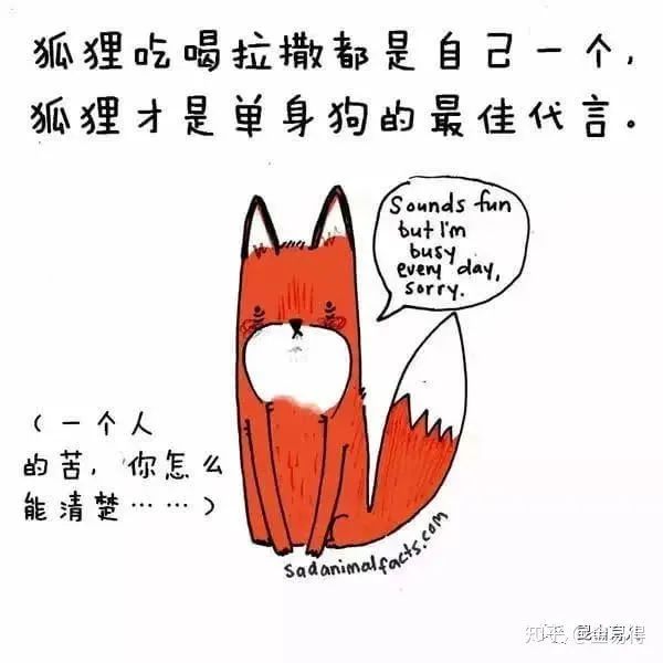 30個(ge) 有趣的科普小星空体育官网入口网站，你知道幾個(ge) ?