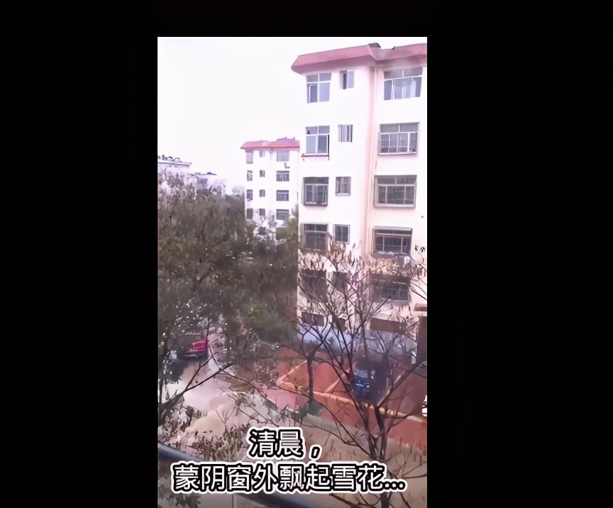冷冷冷！临沂这些地方下雪了！下周气温跌至零下