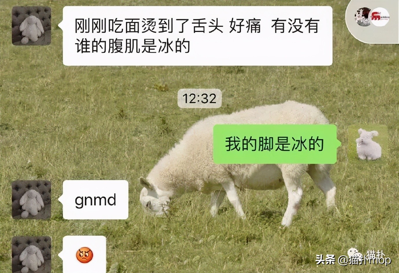 曝光和闺蜜的聊天记录，哈哈哈你们真的不是戏精吗？