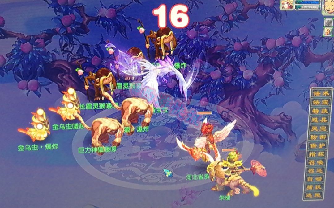 梦幻西游:钓鱼岛神秘大佬斥资83w 更新宝宝,这波太有实力了