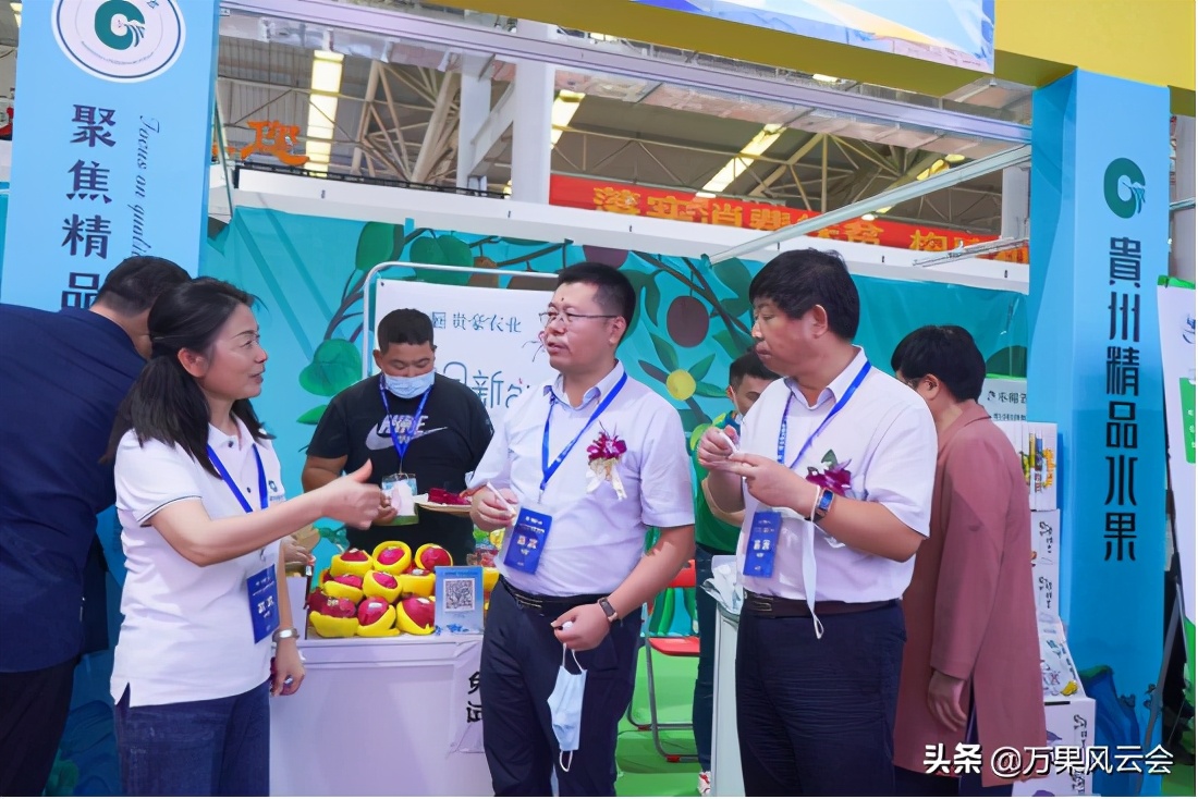 黔地果飄香，貴州精品水果“進(jìn)擊”華南市場