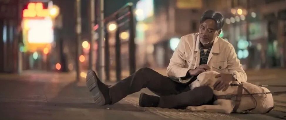 Touch 300 million people guide blind dog small Q, explain responsibility and faithful essence