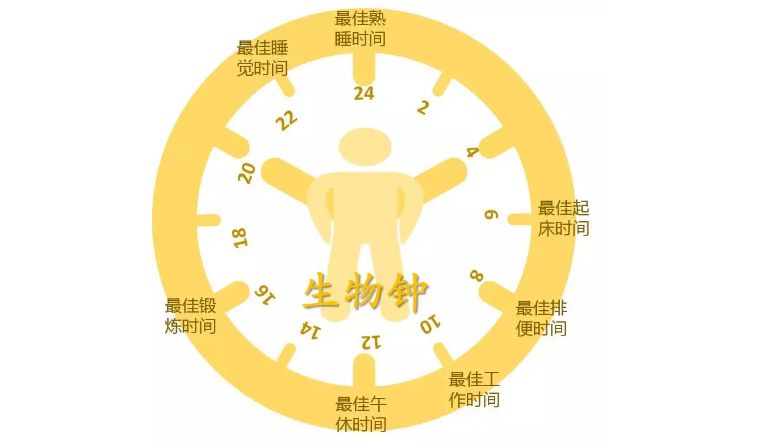 你今天大便了吗？