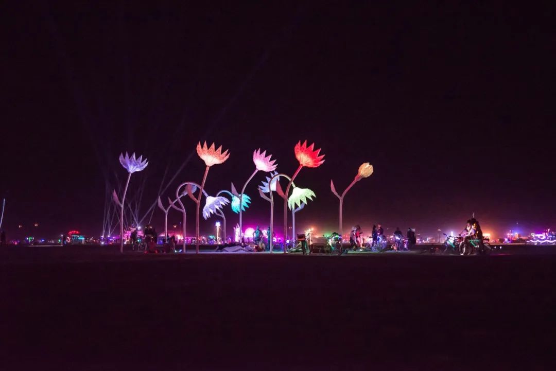 百人竞比杀出重围，钢铁之花日开夜合