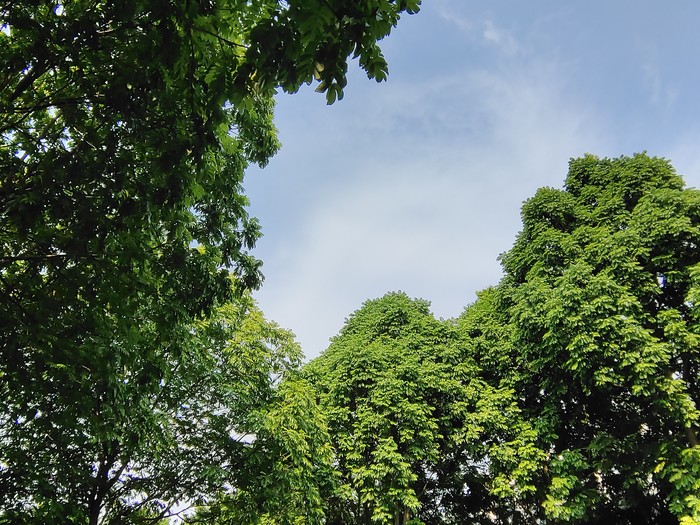 想买5G旗舰却囊中羞涩？这些轻旗舰机型一个顶俩