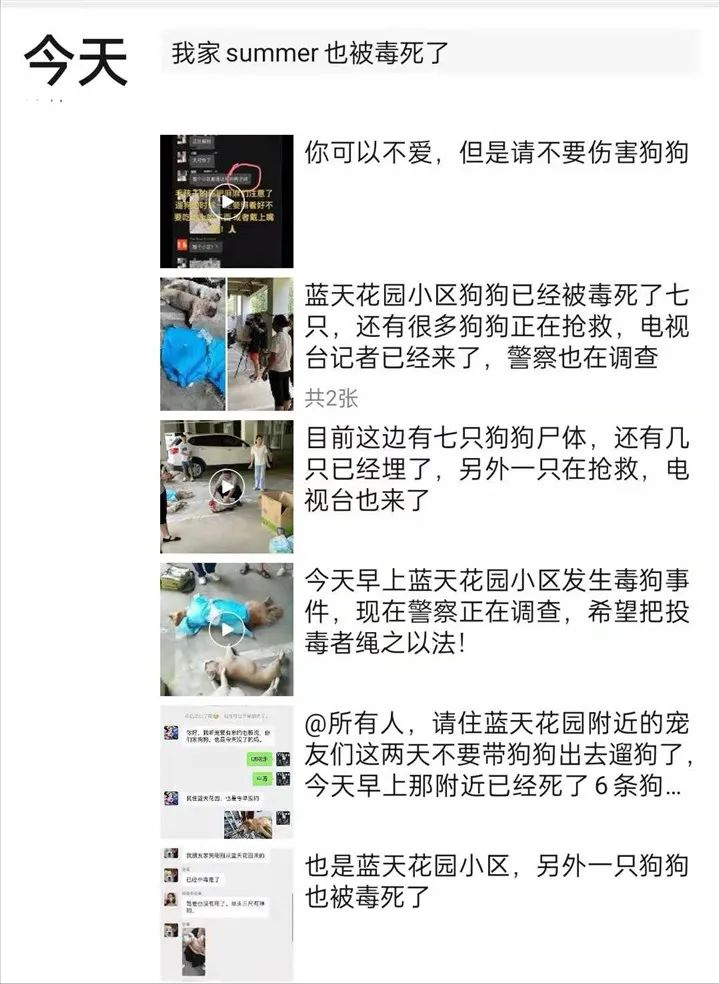 贵州小区多只狗狗被毒死，这是什么毒药？有多毒？曾有人用来杀人