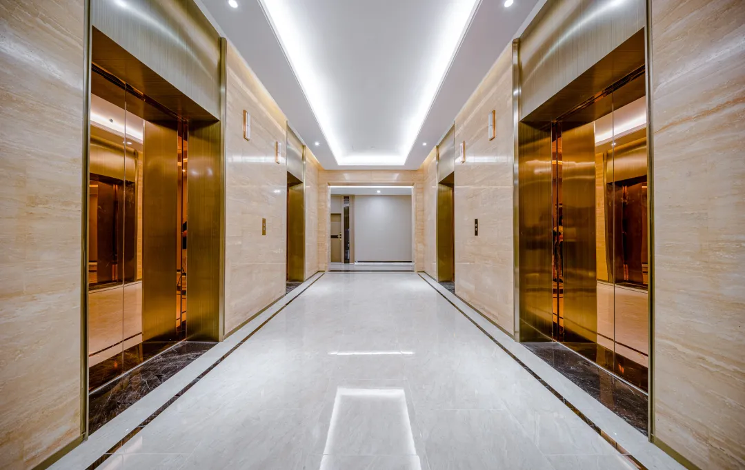 曾经播下的希望种子，此刻已枝繁叶茂