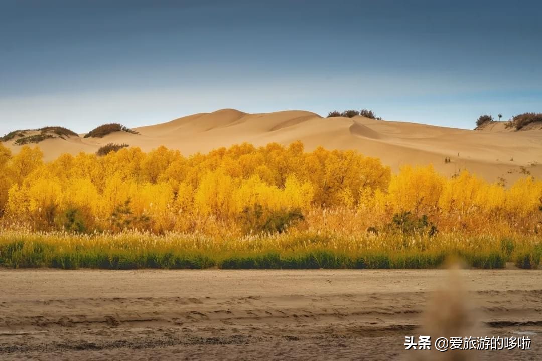 The best place to travel in October-November, the late autumn tour bus is about to depart